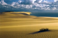 Национальный парк Куршская коса